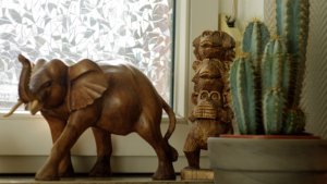 webaufloesung©pak-PraxisDorn-PR-Fotos-Maerz25-161