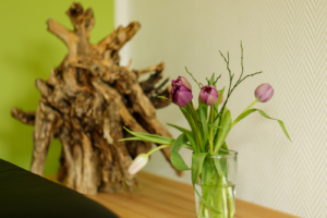 webaufloesung©pak-PraxisDorn-PR-Fotos-Maerz25-201